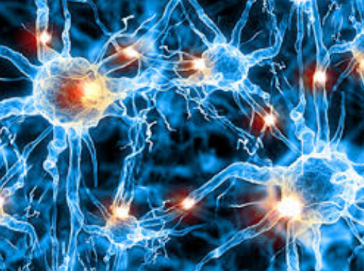 유방암-원인-증상-영양제
