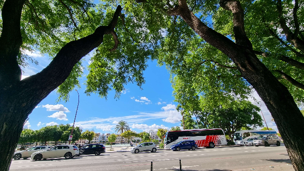 [스페인 여행] 세비야 호스텔 체험