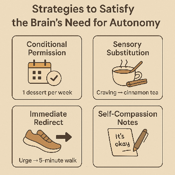절제가 아닌 설계 &ndash; 뇌가 좋아하는 &lsquo;자율의 틈&rsquo;을 만드는 법
