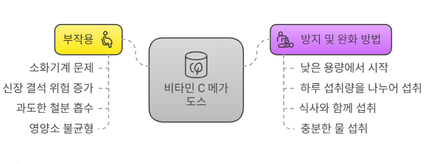 비타민 C 메가도스 부작용 및 방지 방법