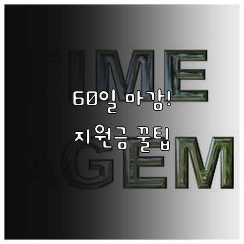 서비스 종료 후 60일! 2025년 ..