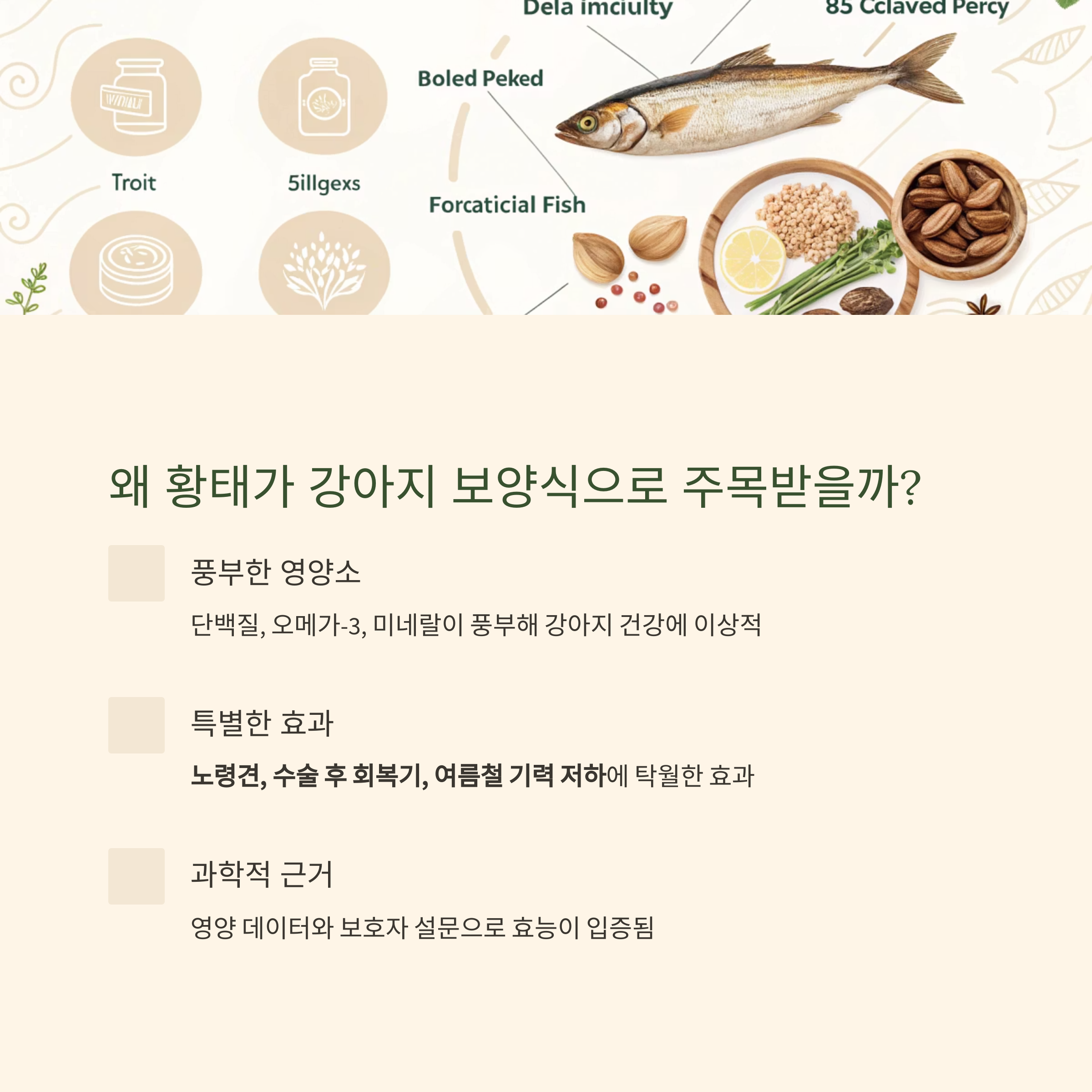 왜 황태가 강아지 보양식으로 주목받을까?