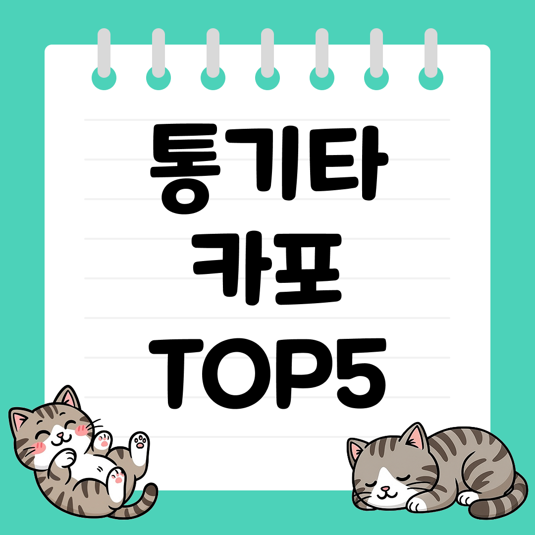 초보자도 쉽게 사용하는 실속형 통기타 카포 추천 순위 TOP5
