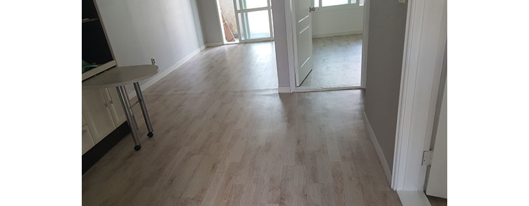 성남 분당구 도배공사