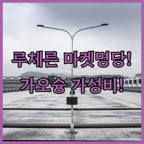 루체른 크리스마스 마켓 맛집 명당 가..