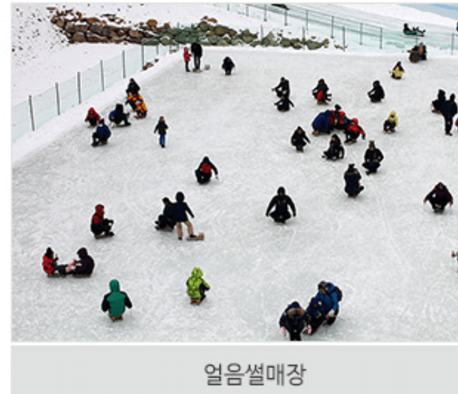 청양 알프스마을6