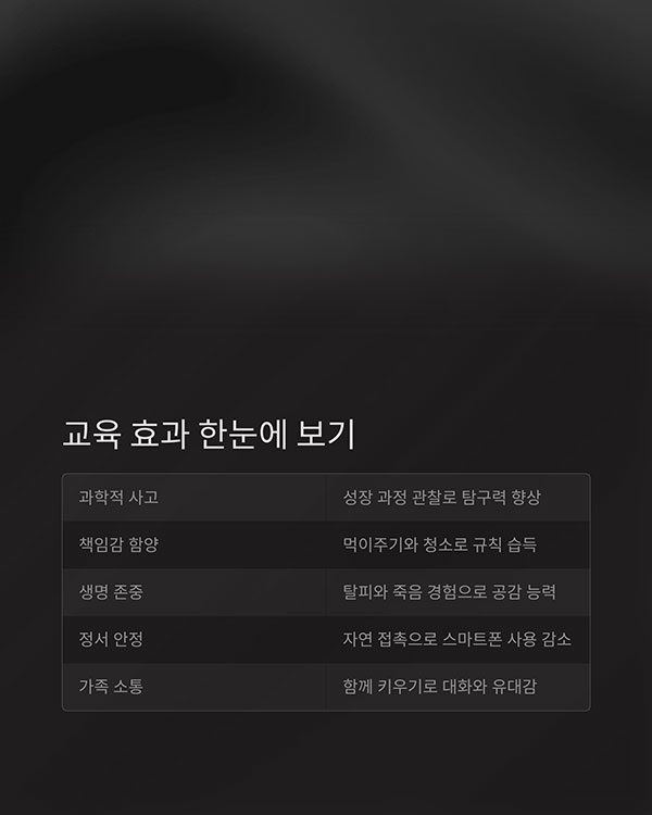 교육 효과 정리 표