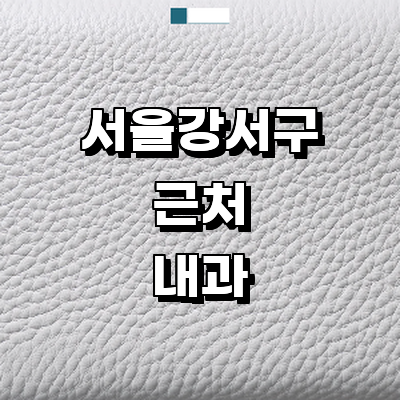 서울 강서구 내과