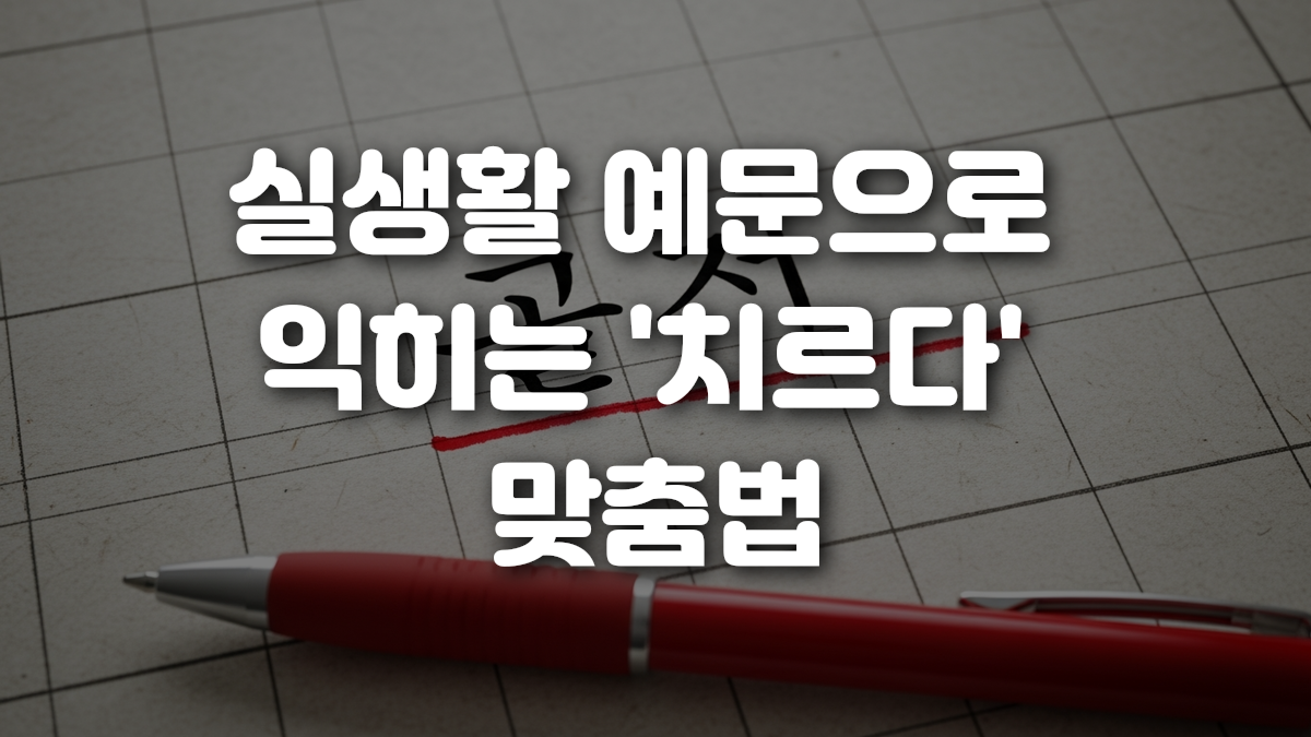 실생활 예문으로 익히는 치르다 맞춤법