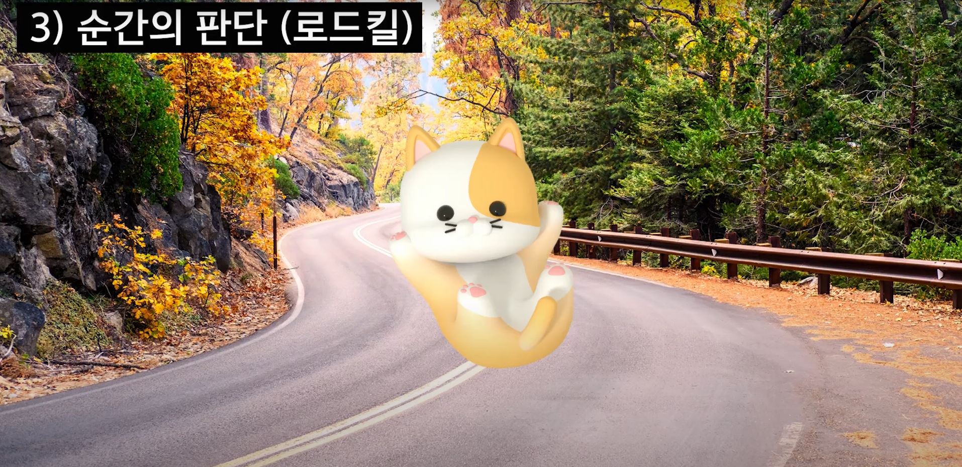 로드킬상황