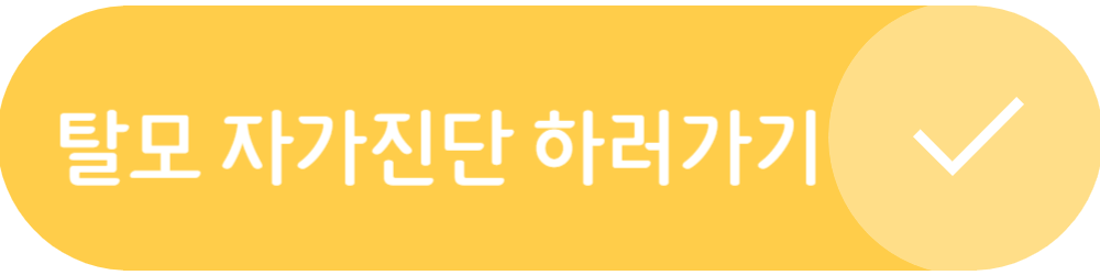 탈모자가진단 바로가기