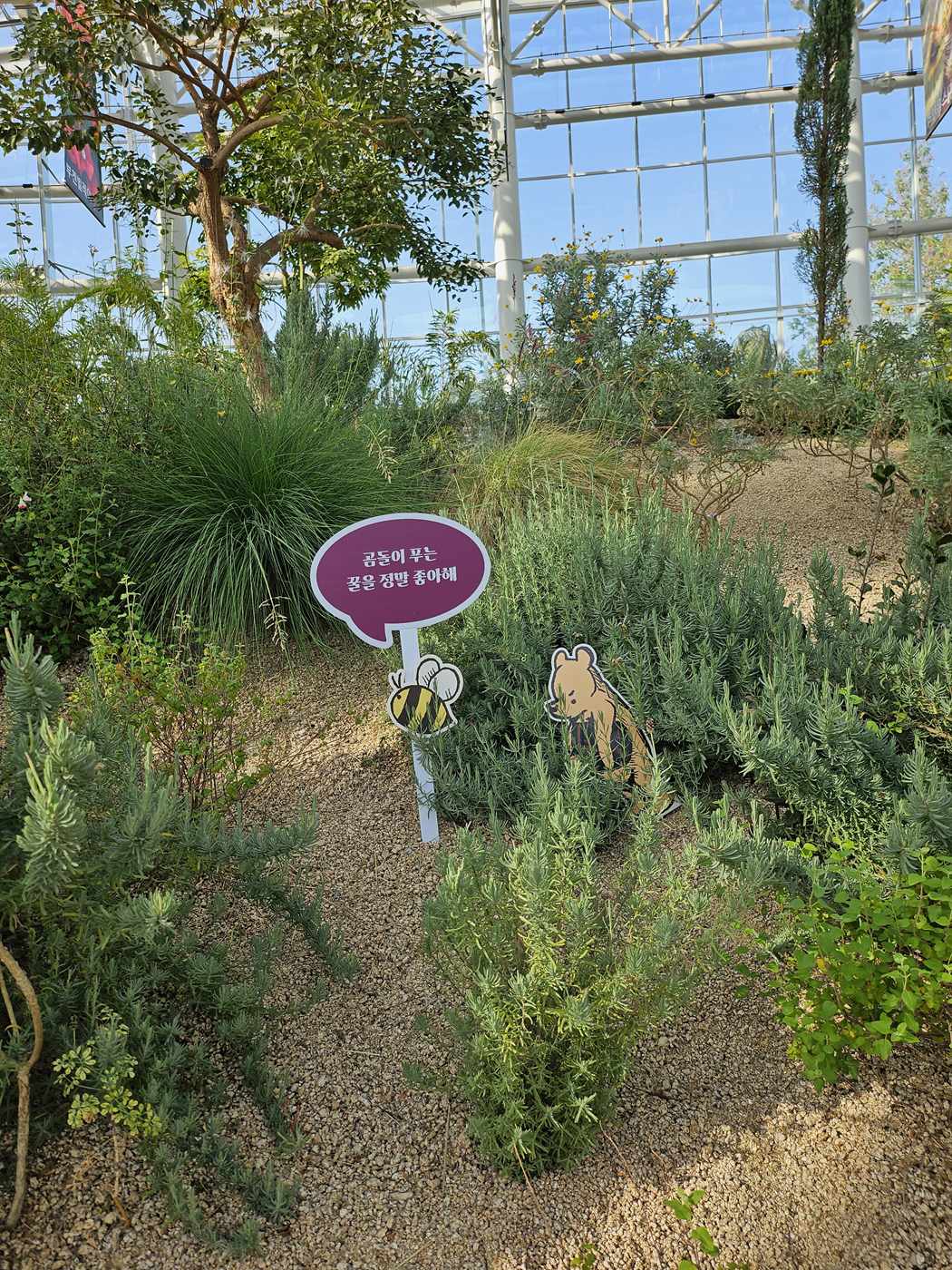 일원수목원 곰돌이푸