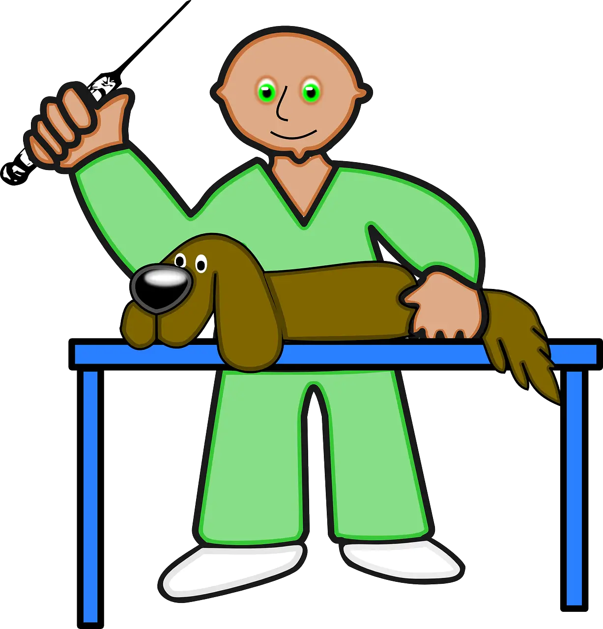 반려동물 재활치료