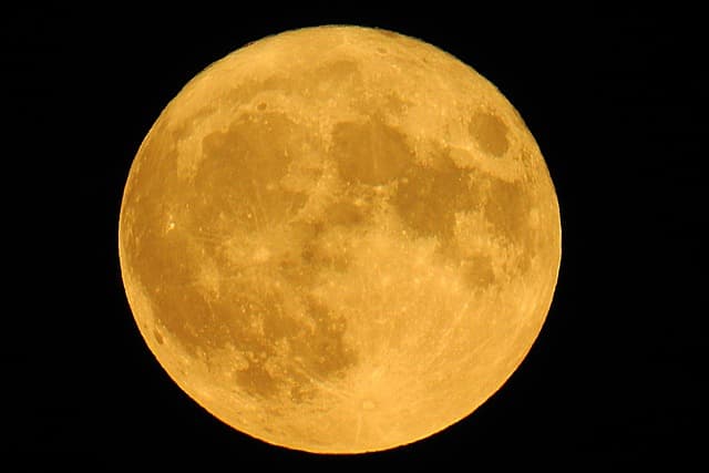 2025 정월대보름 스페셜! 건강운·재물운 올리는 비밀 의식