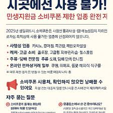 민생 소비 쿠폰, 어디서 못 쓰나요? (2025년 최신 기준)