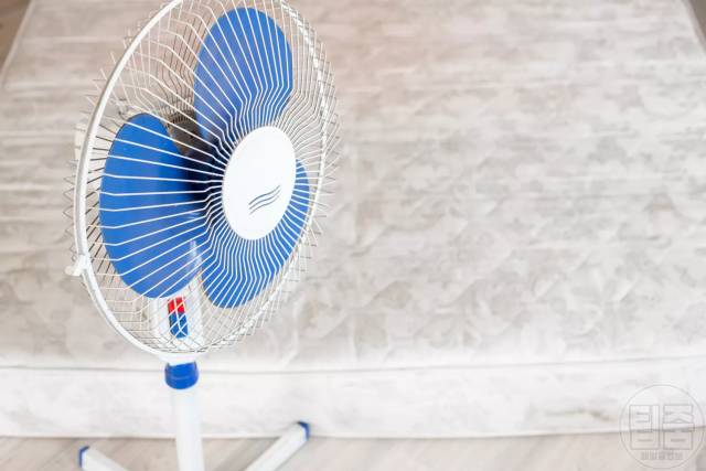 매트리스 곰팡이 제거 방지 곰팡이 포자 흡입 건조