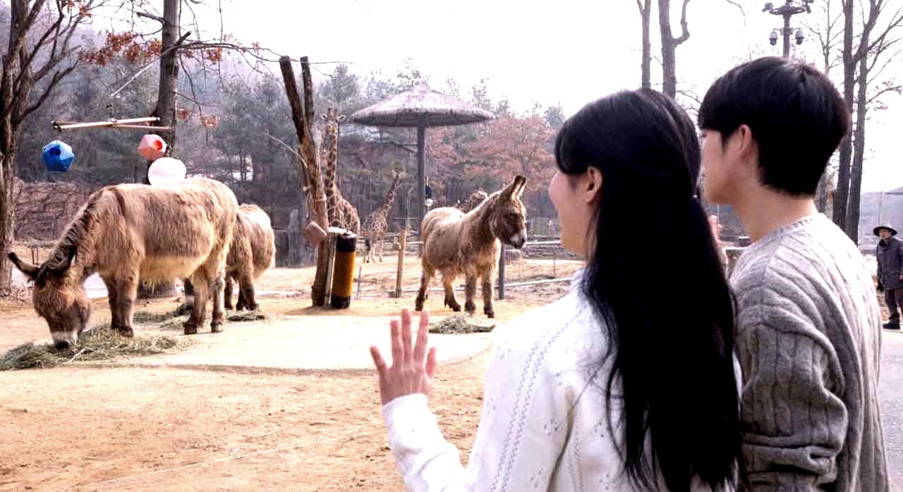 다양한 동물들을 세밀하게 볼 수 있는 이색 사파리 프로그램. [ⓒ삼성물산 공식 홈페이지]
