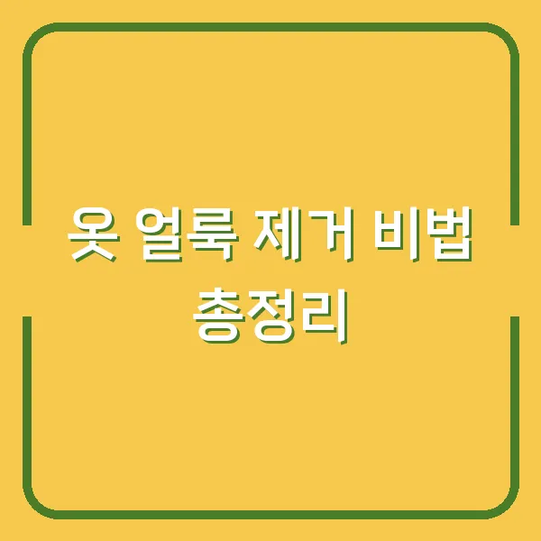 옷 얼룩 제거 비법 총정리