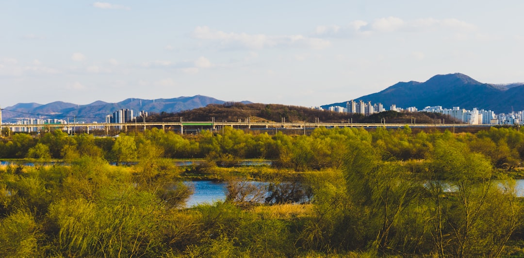 Daegu