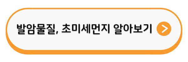 미세먼지 최대한 피하는 방법