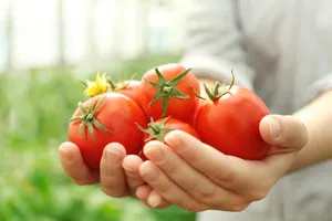 유방암에-좋은-음식