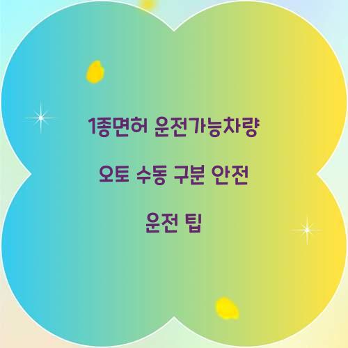 1종면허 운전가능차량