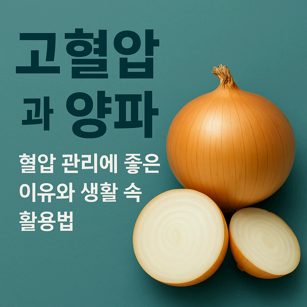 고혈압과 양파, 혈압 관리에 좋은 이유와 생활 속 활용법