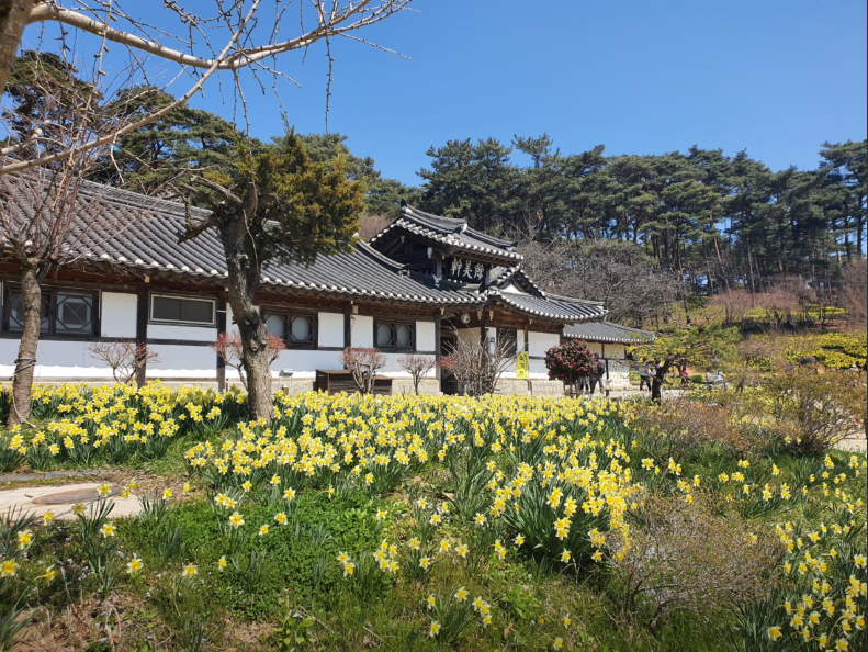 생생정보 믿고 떠나는 스타의 고장 충청남도 서산시 유기방가옥 황금산 코끼리바위 바다식당 꽃빛 