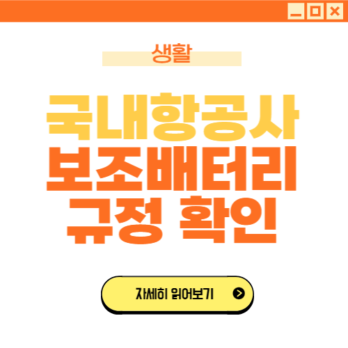 비행기 보조배터리 규정