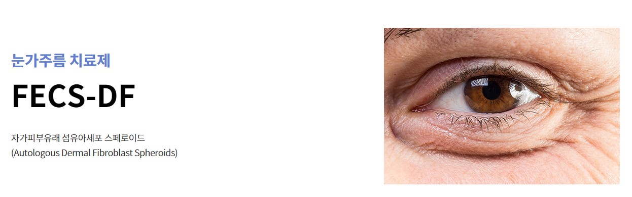 에스바이오메딕스 기업정보