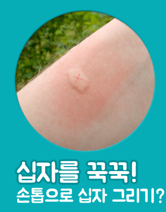 손톱 십자 그리기