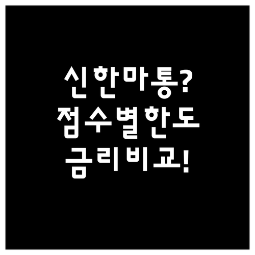 신한은행 마이너스통장 신용점수별 예상..