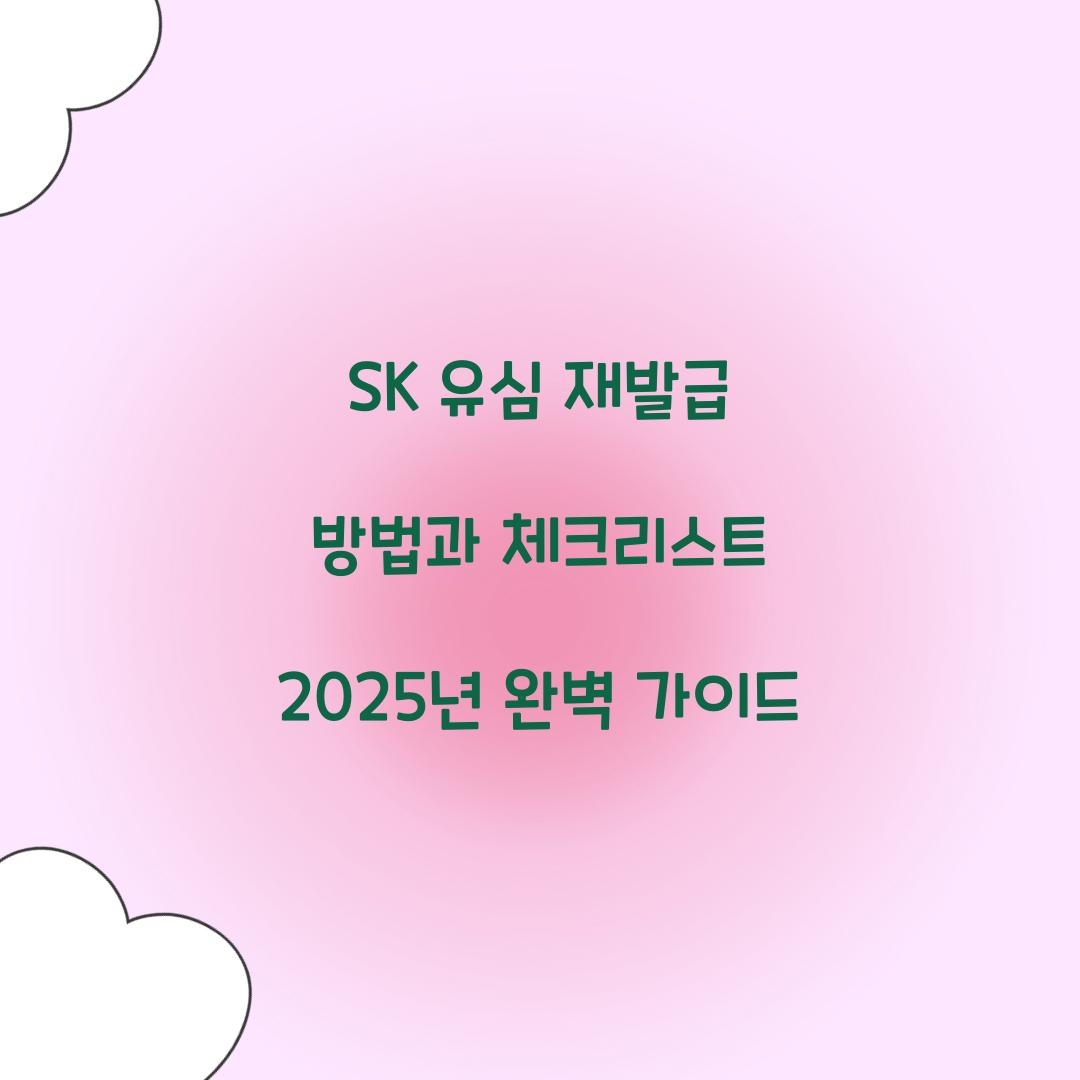 sk 유심 재발급