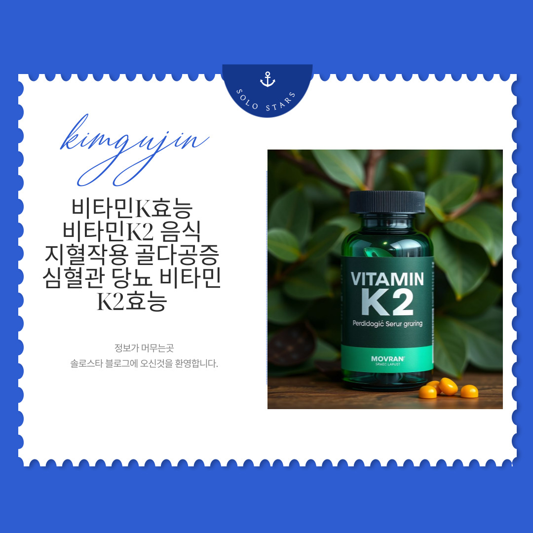 비타민K2사진