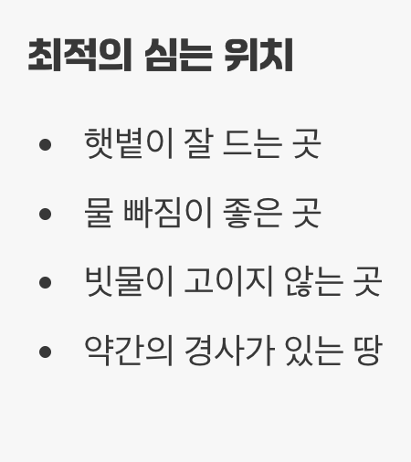 첫 단추, 건강한 묘목과 햇살 가득한 자리