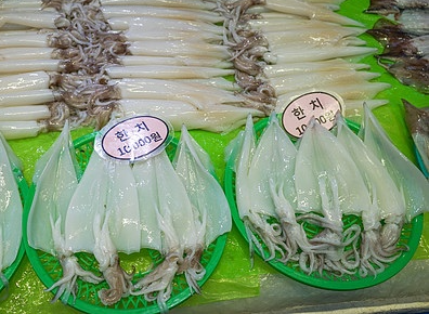 한치 섭취 시 주의해야 할 부작용