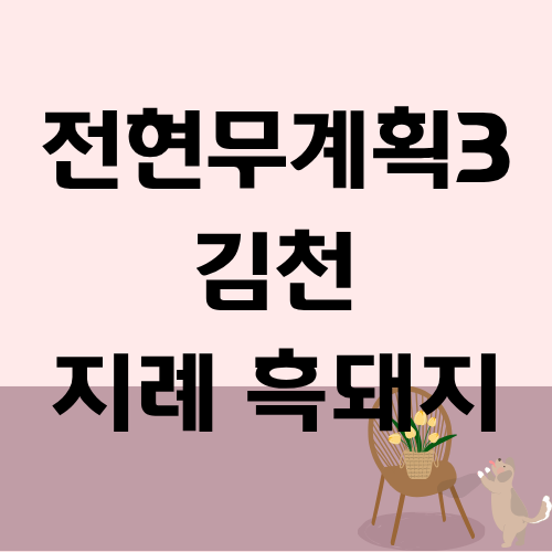 전현무계획3 김천 지례흑돼지 홍지윤 솔지