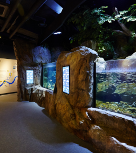 화담숲 예약 모노레일 예약 관람방법