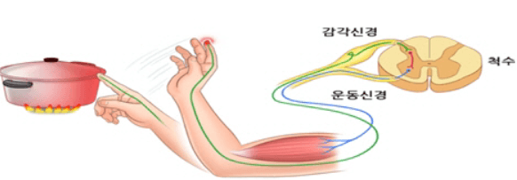 루게릭병
