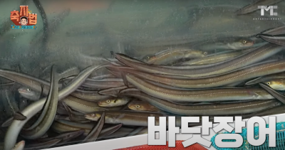 2024 통영 어부장터 축제(출처: 백종원 유튜브)