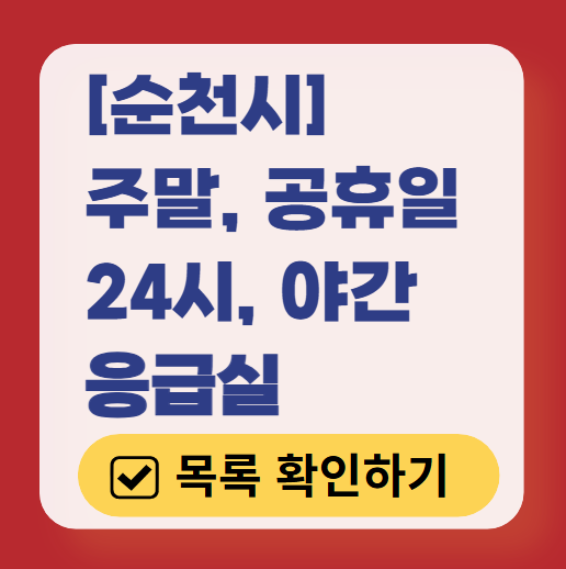 순천시 응급실 운영 병원 리스트 ❘ 주말, 토요일, 일요일, 공휴일 응급의학과 ❘ 24시 야간 응급진료 가능한 곳