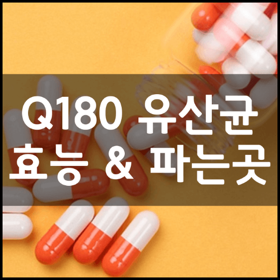 락토바실러스-플란타럼-플란타룸-Q180-유산균-효능-성분-부작용-가격-파는곳-정리-썸네일