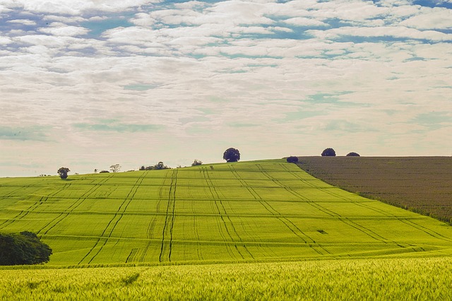 등기부등본 열람 완벽정리 - 인터넷등기소