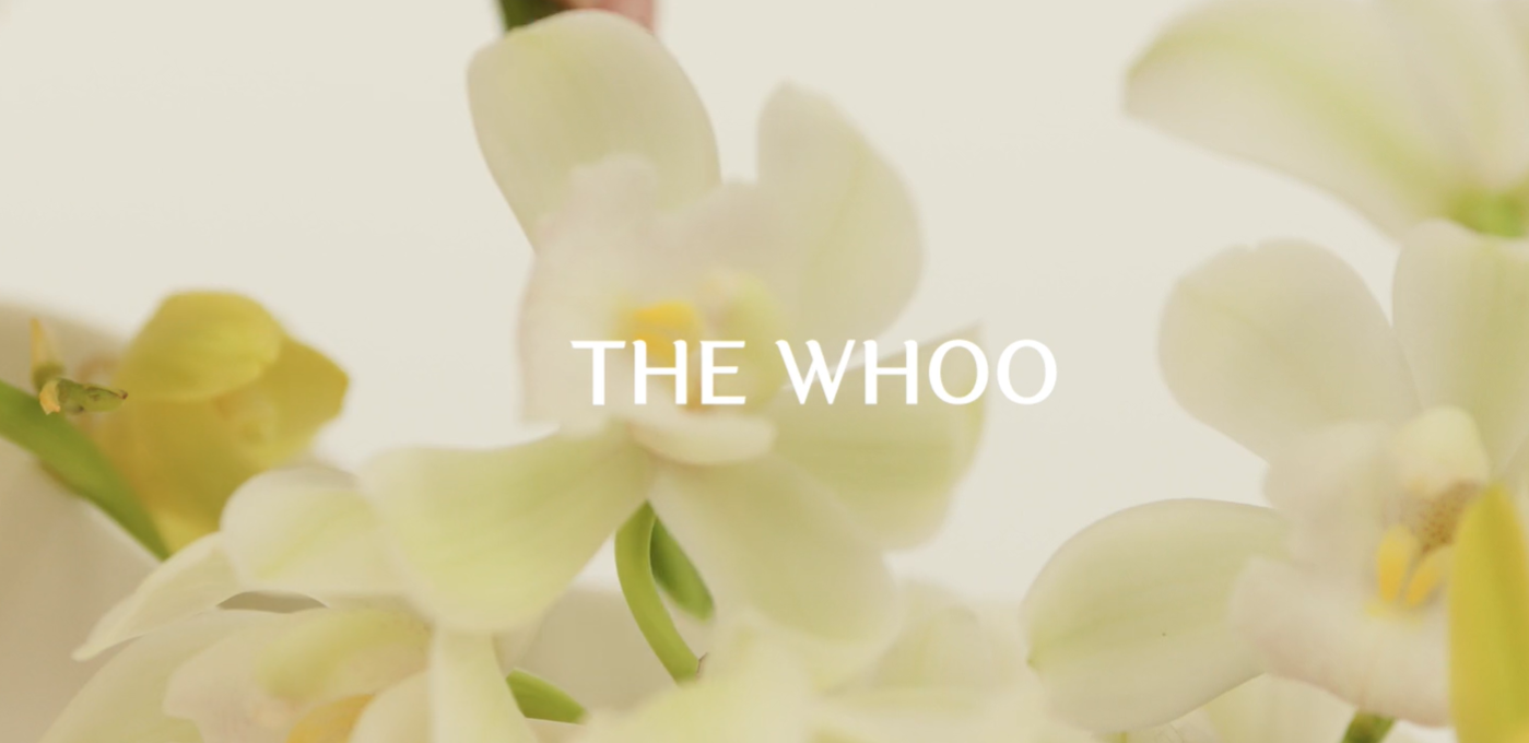 전국 고혼진 매장 위치