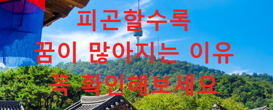 꿈과건강