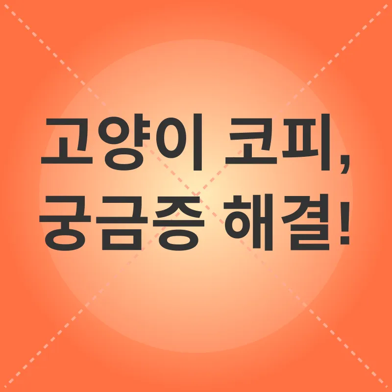 고양이 코피_4