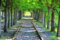 아이와 가평 가볼만한곳 추천 가평레일파크