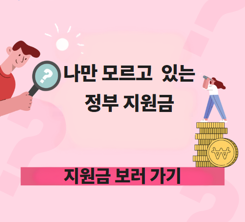 정부 지원금