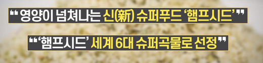햄프씨드