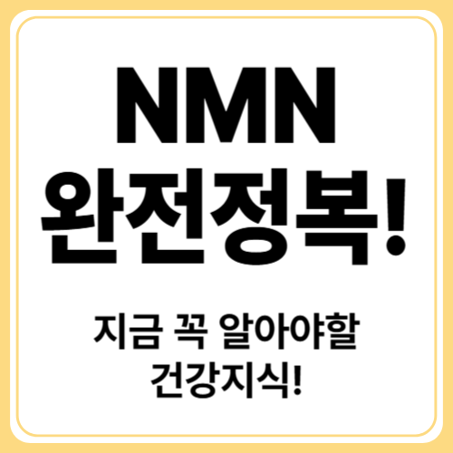 NMN이란? 노화를 늦추는 NMN의 모든 것